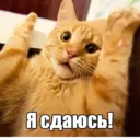 Стикер