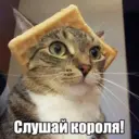 Стикер