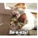 Стикер
