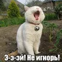 Стикер