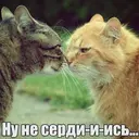 Стикер