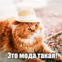Стикер