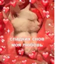 Стикер
