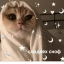 สติกเกอร์