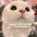 สติกเกอร์
