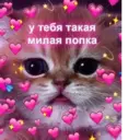 สติกเกอร์