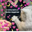 สติกเกอร์