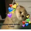 สติกเกอร์