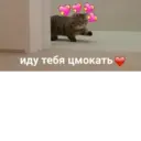 สติกเกอร์