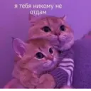 สติกเกอร์