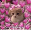 สติกเกอร์