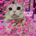 สติกเกอร์