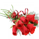 اسٹیکر