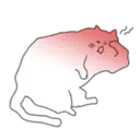 Samolepka