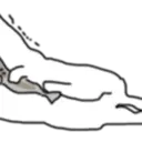 Samolepka