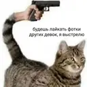 Стикер