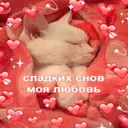Стикер