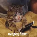 Стикер