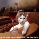 Стикер