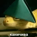 Стикер