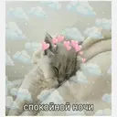 Стикер