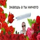 Стикер