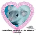 Стикер