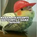Стикер