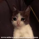 Стикер