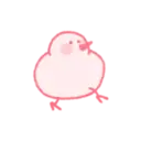 Nhãn dán