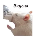 Стикер