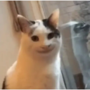 Figurinha