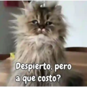 Figurinha