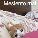 Çıkartma