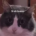Stika