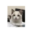 Стикер