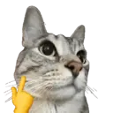 Стикер