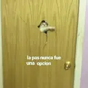 Samolepka