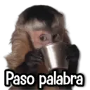 Límmiði
