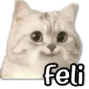 Figurinha