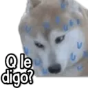 Stika