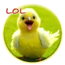 ស្ទីកเกอร์