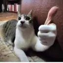 Կպչուն պիտակ