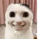 Կպչուն պիտակ