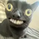 Կպչուն պիտակ