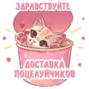 Стикер