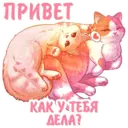 Стикер