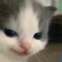 Կպչուն պիտակ