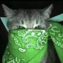 Կպչուն պիտակ