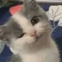 Կպչուն պիտակ